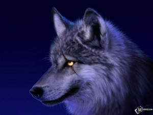 Create meme: wolf, wolf, the wolf is a good