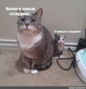 Создать комикс мем &amp;amp;quot;толстый кот, siamese cat, жирные и худые коты&amp;amp;quot; -  Комиксы - Meme-arsenal.com