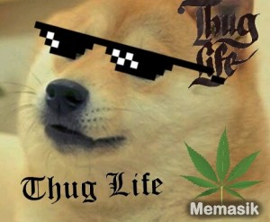 Создать мем: doge