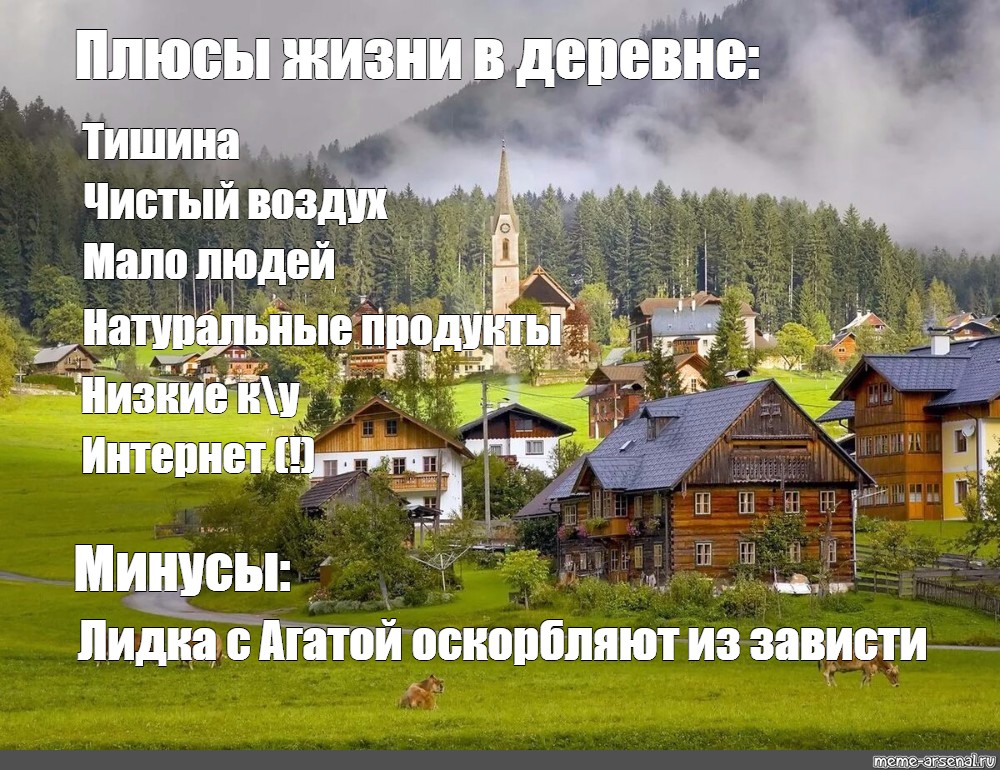 Плюсы жизни в деревне