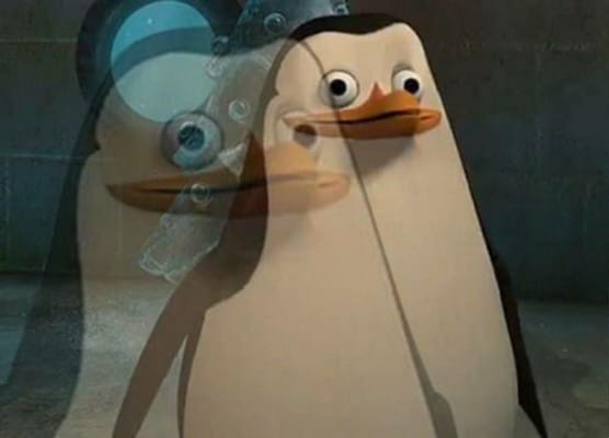 Создать мем: penguin meme, пингвины мадагаскара, пингвин рядовой