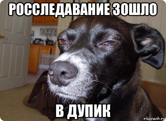 Create meme: the dog smybaka suspect, podozrevala, meme dog 