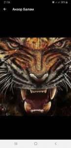 Create meme: avatar tiger profile, avatars for steam tiger, tiger