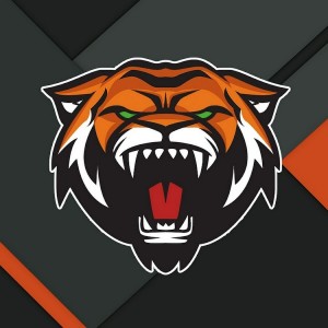 Create meme: logo for the clan, tiger logo