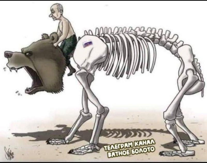 Create meme: the skeleton of a bear, skeleton , The skeleton of a bear structure