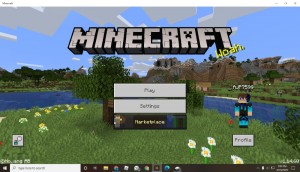 Создать мем: minecraft bedrock edition, minecraft bedrock, minecraft windows 10