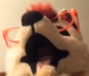 Create meme: duke_doberman fursuit butt, Blurred image, fursuit