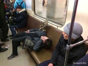 Create meme: the Moscow metro, birds, feet