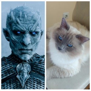 Create meme: the white walkers, game of thrones, King Of The Night