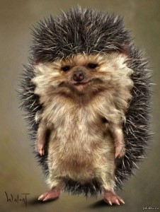 Create meme: hedgehog hedgehogs, hedgehog, the evil hedgehog