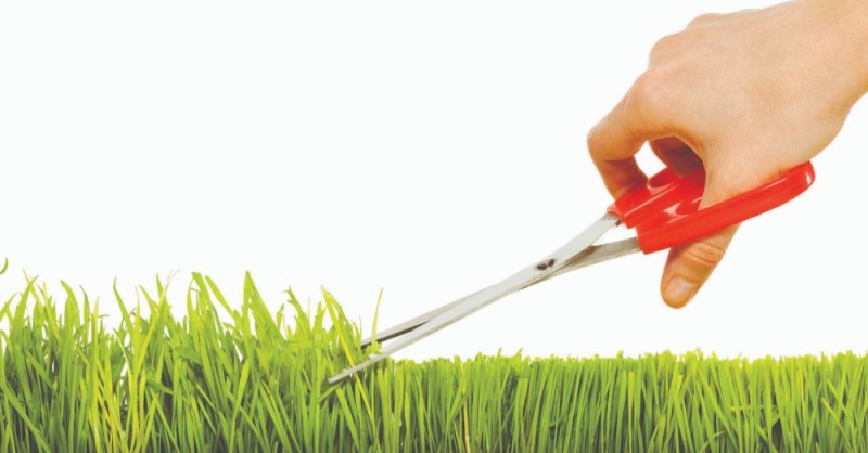 Create meme: mowing grass, grass scissors, mow the lawn with scissors