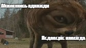 Создать мем: null