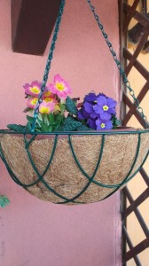 Create meme: hanging planter with coconut fiber, hanging pots 15, hanging pots for flowers