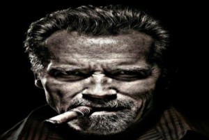 Create meme: poster meme, Arnold Schwarzenegger, portrait of a man