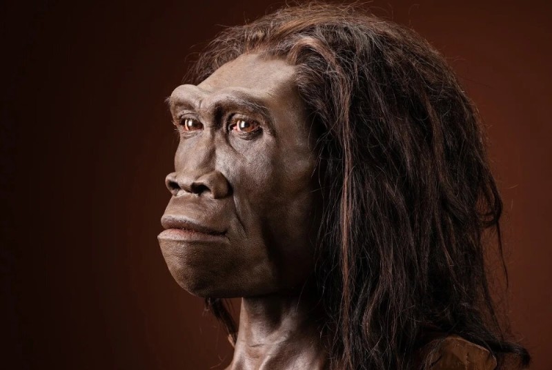 Создать мем: человек прямоходящий, хомо сапиенс неандерталенсис, homo erectus 2007