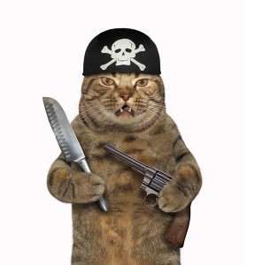 Создать мем: кот в форме, котик в каске и с автоматом, кот пират