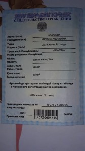 Create meme: birth certificate of the RK, certificate, birth certificate of the child