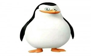 Create meme: the trick, skipper, penguin meme