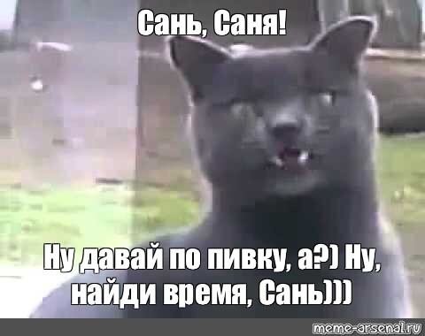 Ну саня в поле