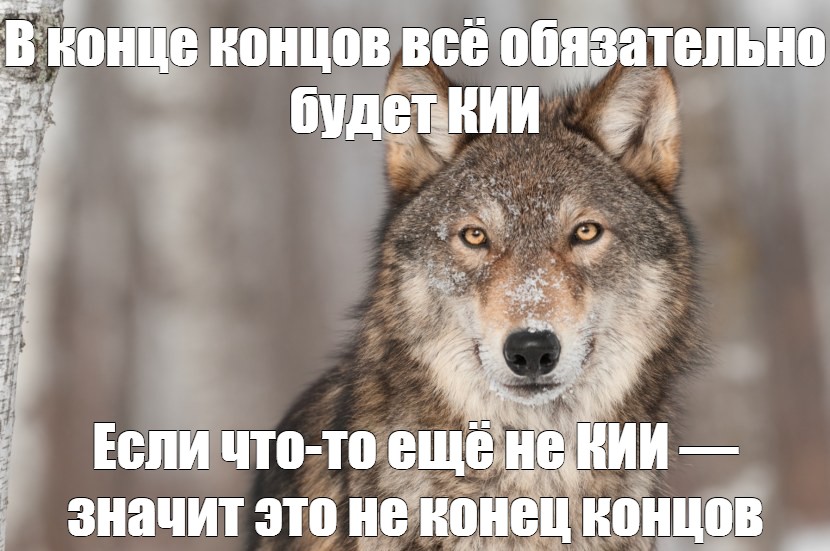 Кий что это такое