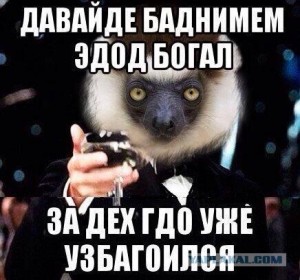 Create meme: uzbagoysya, usagainst, sagaseta only sagaseta