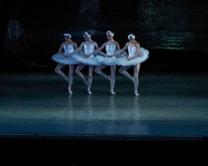 Create meme: dance of the little swans, dance Swan lake, Tchaikovsky's ballet Swan lake