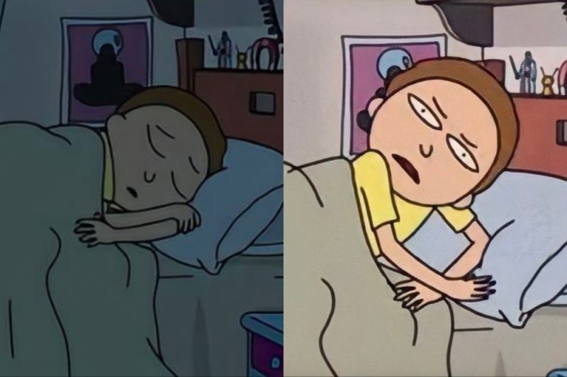 Create meme: a meme has woken up, Morty is asleep, meme rick and morty