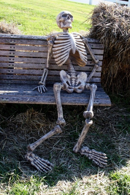 Create meme: a skeleton on a bench waiting, skeleton in waiting, the skeleton on the bench