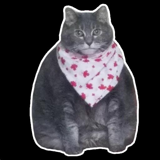 Create meme: fat cat in a handkerchief, the cat in the scarf, meme fat cat in bib