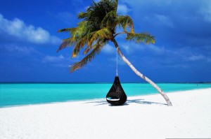 Create meme: beach sea palm trees, ocean beach, palm beach