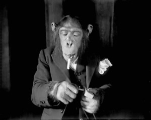 Create meme: Smoking monkey, a monkey with a cigarette