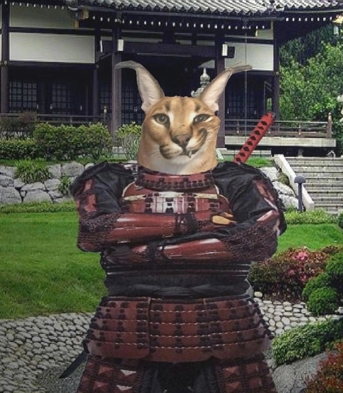 Создать мем: самурай, коты, крипочек