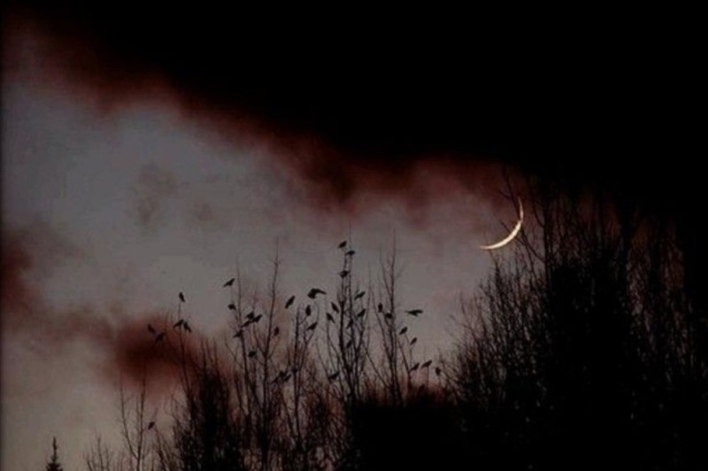 Create meme: crescent moon, grass and crescent moon, dark night