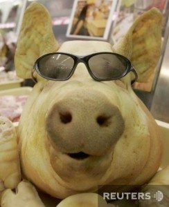 Create meme: pork, pig's head, pig with glasses