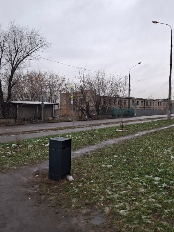 Create meme: a tree on the street, park in, Russia