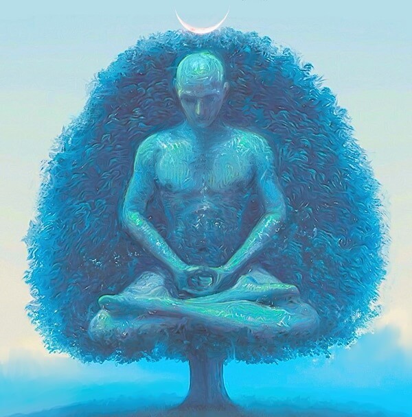 Create meme: lotus yoga pose, nirvana samadhi, lotus pose art