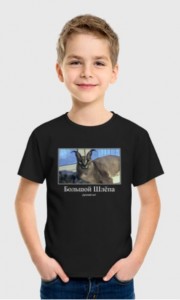 Создать мем: футболки для мальчиков, детские футболки с принтом, большой шлёпа футболка