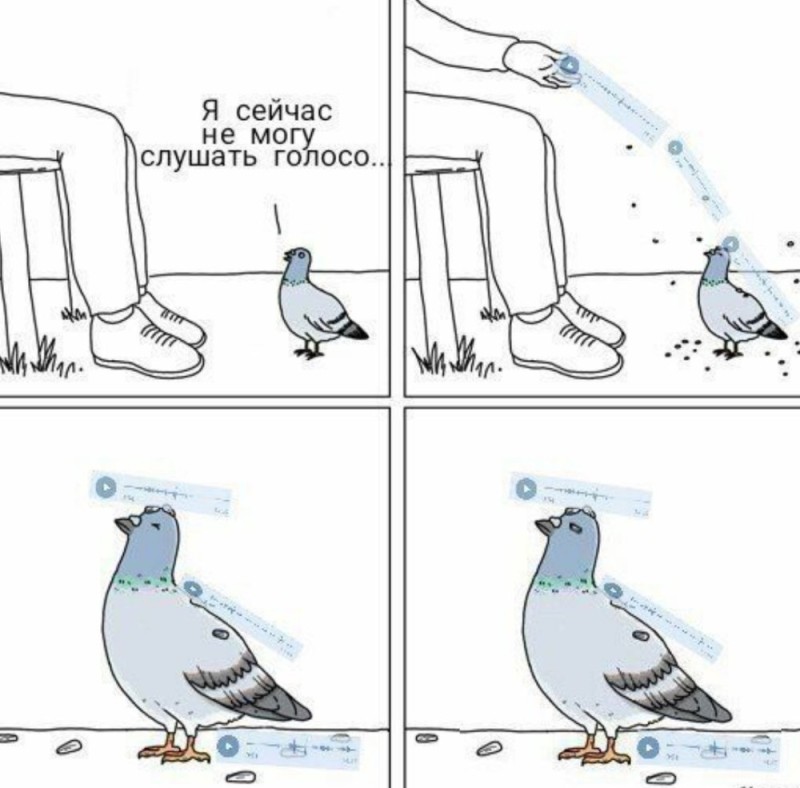Create meme: devouring dove, a meme with a pigeon, dove 