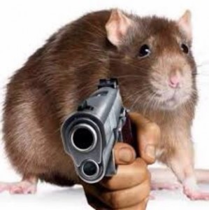 Create meme: rat, mouse rat, a rat with a gun