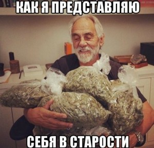 Создать мем: томми чонг, дружба длиною в жизнь, cheech and chong