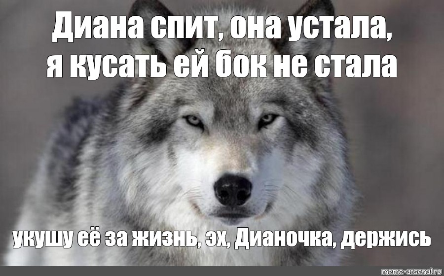 Серый волк знает толк. Гордый волк Мем. Гордый волк Мем шаблон. Работа не волк волк это ходить. Спящая Диана.