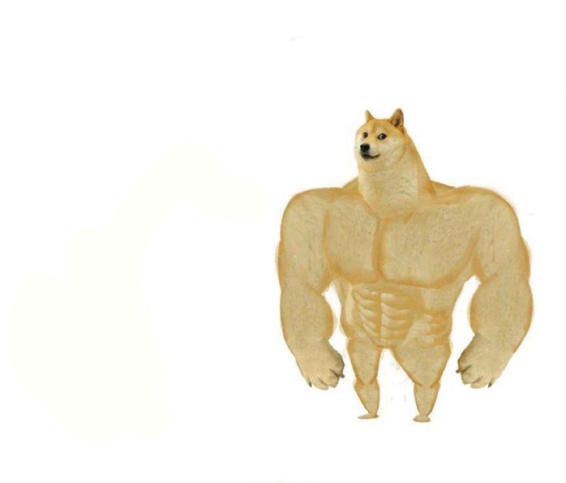 Create meme: meme a dog with muscles, the dog is a jock meme, inflated dog meme