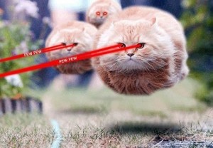 Создать мем: летящий кот, ржачные кошки, смешные кошки