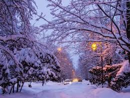 Create meme: winter evening landscape, winter snow , winter Park