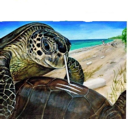 Create meme: sea turtle, turtle painting, animals turtle