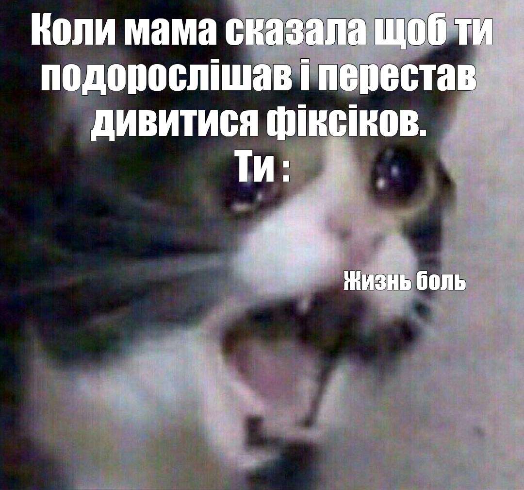 Котик плачет мем картинка