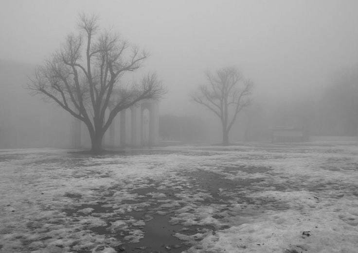 Create meme: winter fog, gloomy landscape, landscape fog