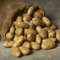 Создать мем: картофелина, potato, мешок картофеля