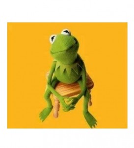 Create meme: Kermit The Frog, Kermit shushania, Kermit png