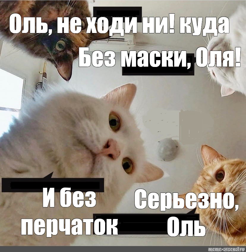 Оля пошли. Оля и коты мемы. Кошка Оля. Оля вставай. Оля Мем с котами.